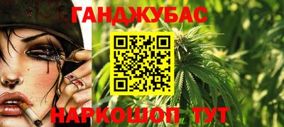 индика Славгород