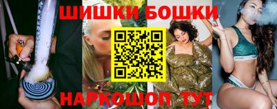 индика Славгород