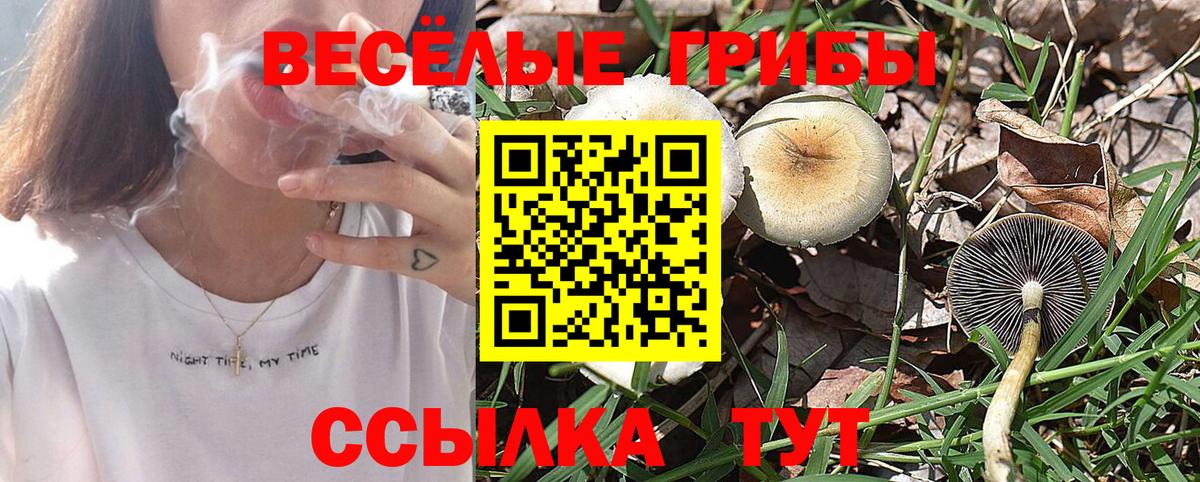 Галлюциногенные грибы прущие грибы  магазин    Саяногорск  Вход с VPN 