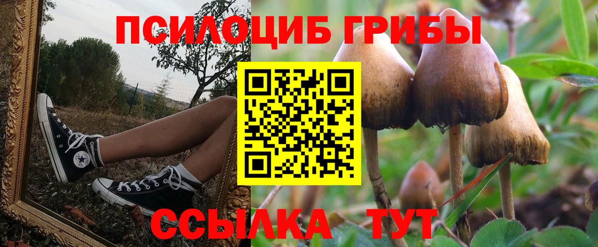 Галлюциногенные грибы MAGIC MUSHROOMS Саяногорск
